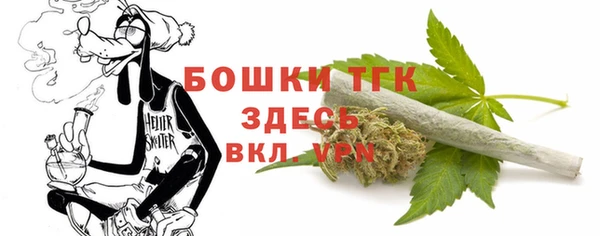 эйфоретик Аркадак